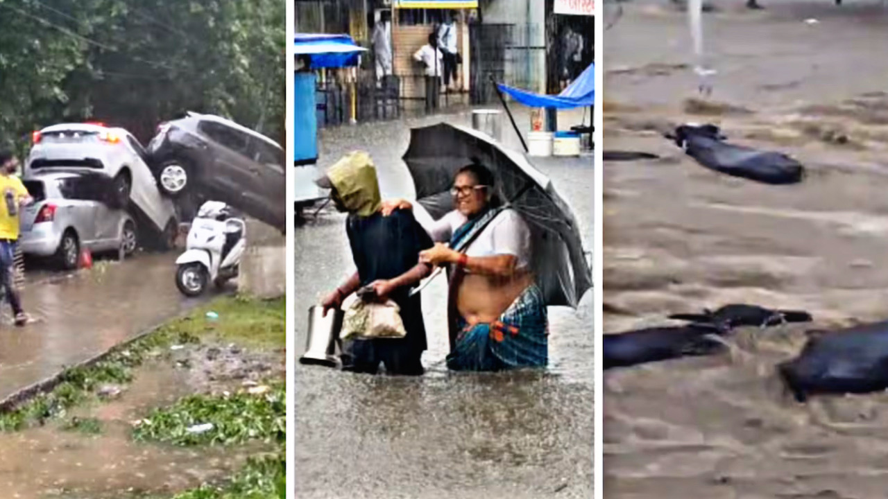 CD2660AC 8E18 4830 91D1 1705A4E35247