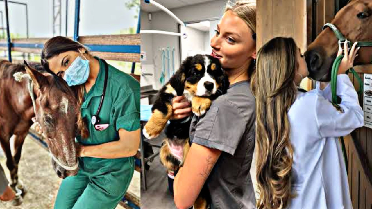 D4D892C9 1A99 4690 A123 B6E075C809C8