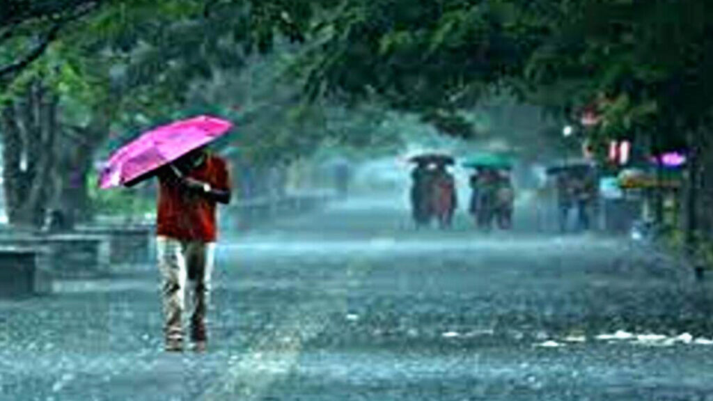 D5175746 A5F7 4088 9A5D A60E42436804 D5175746 A5F7 4088 9A5D A60E42436804