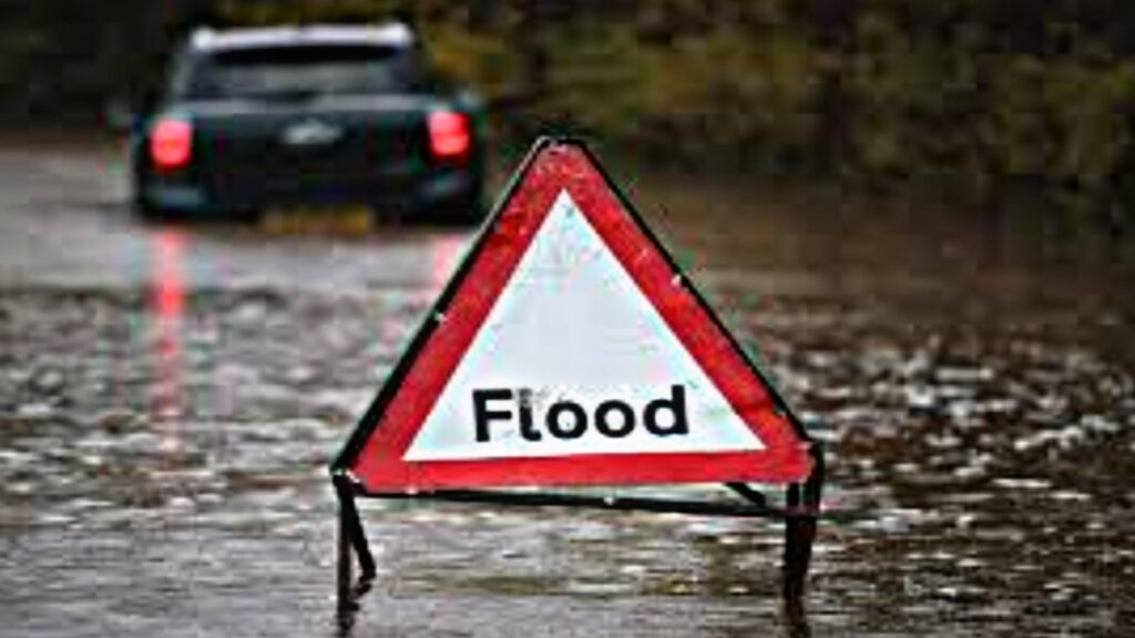 E3A05A13 ACD9 491F 83D6 28912EF58E9D E3A05A13 ACD9 491F 83D6 28912EF58E9D