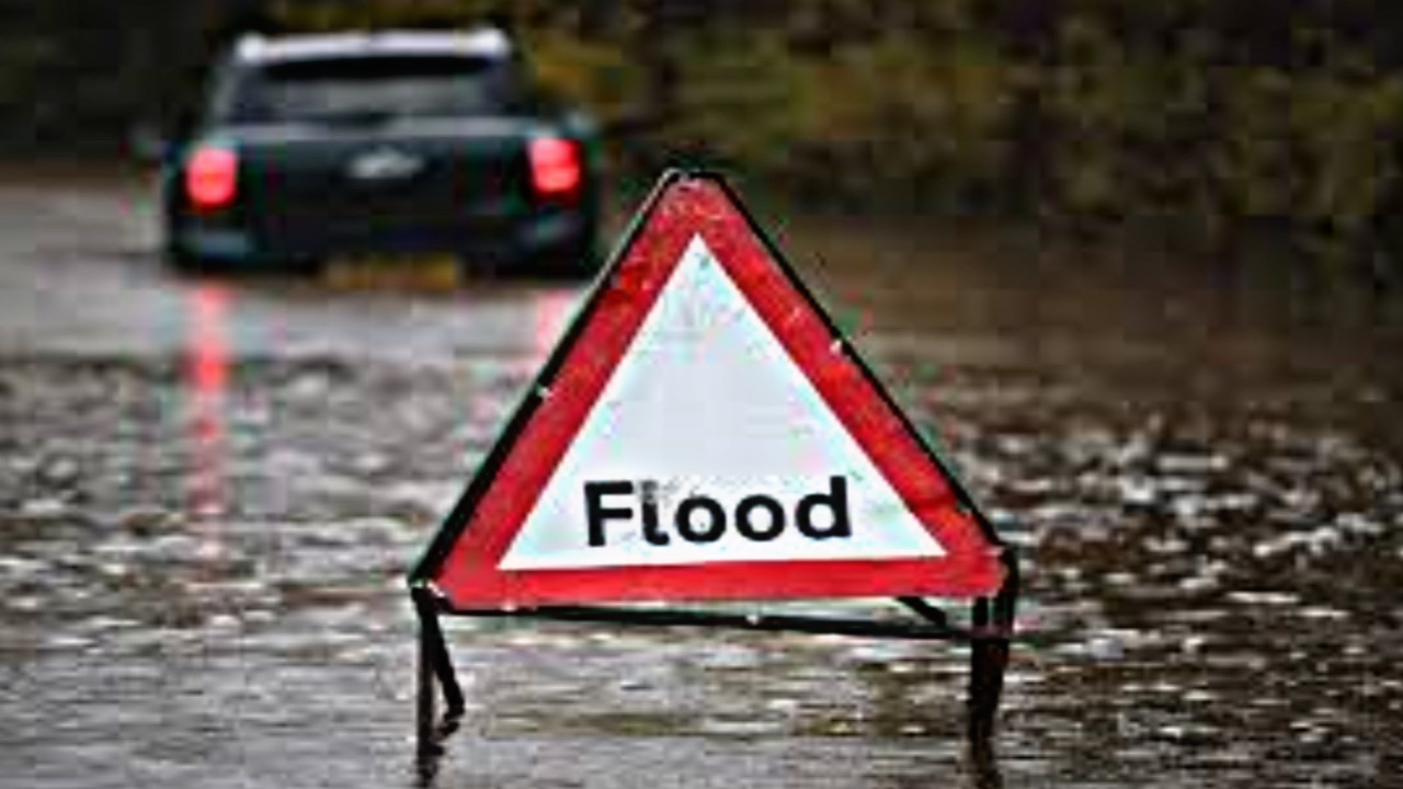 E3A05A13 ACD9 491F 83D6 28912EF58E9D