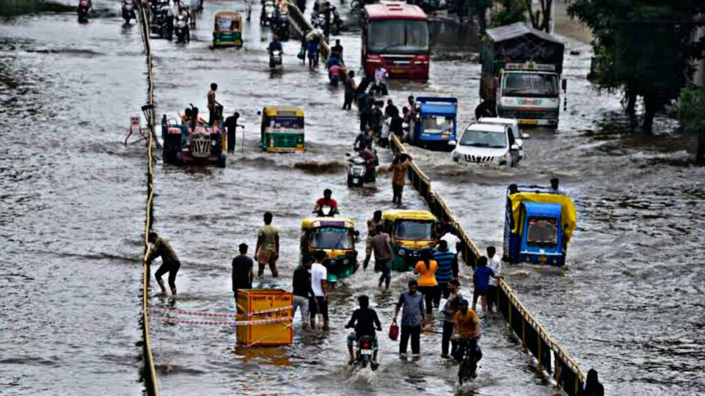 F1654957 59C2 4F3D 81CD D9C0695DCE21 F1654957 59C2 4F3D 81CD D9C0695DCE21