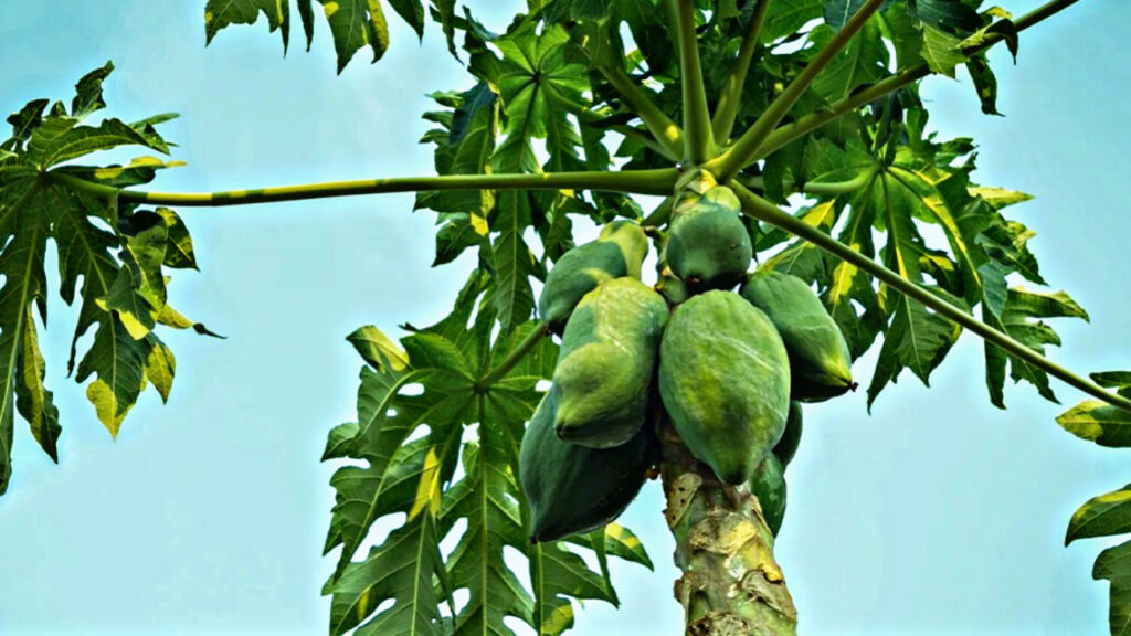 F1706A86 862A 4A1A AB7E CCC985A1362E F1706A86 862A 4A1A AB7E CCC985A1362E