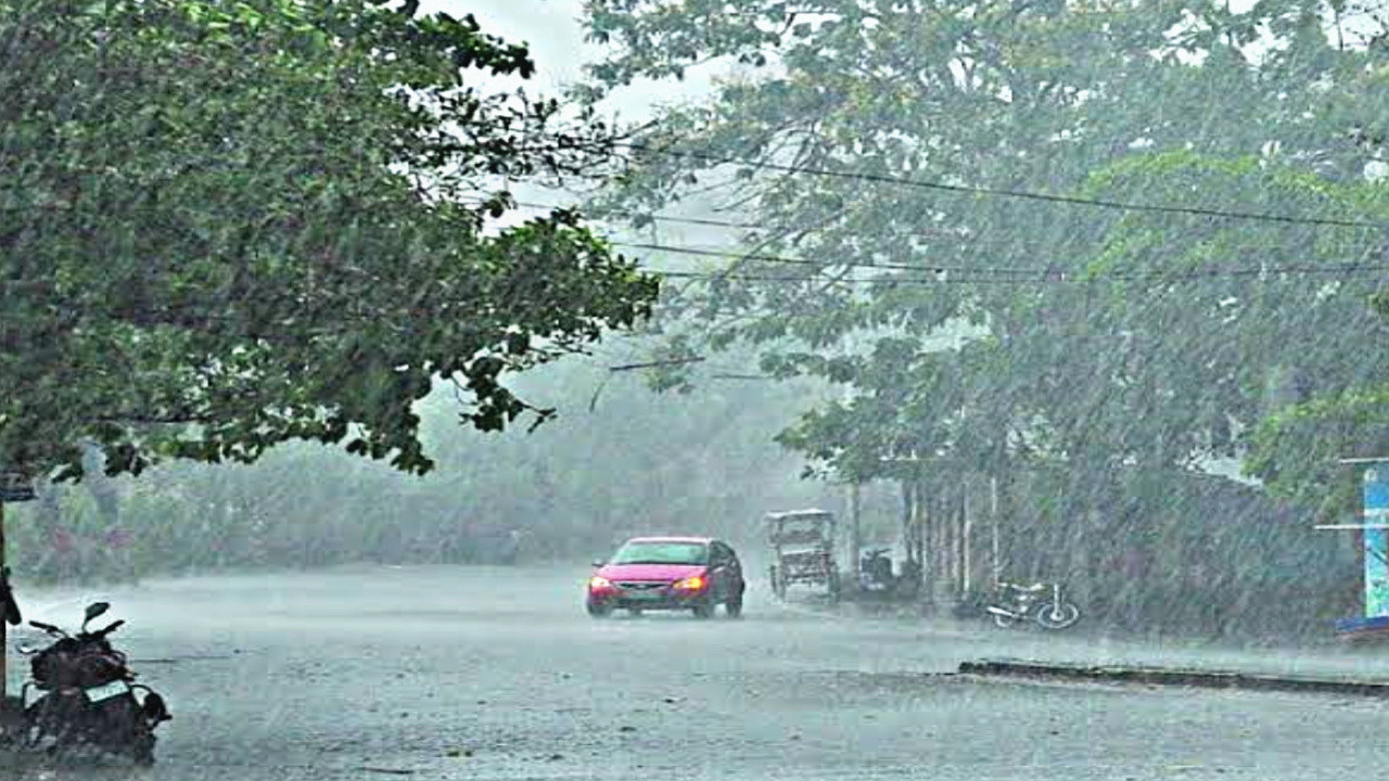 F1A4CAC9 088F 4349 B80D 24526DB8AD1C