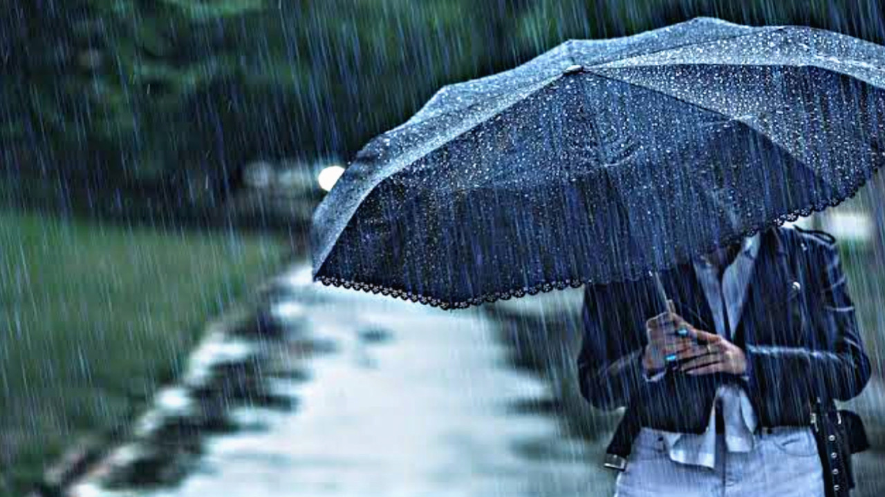 F3221BBD 1FA0 4FE1 84F3 D5039952E931