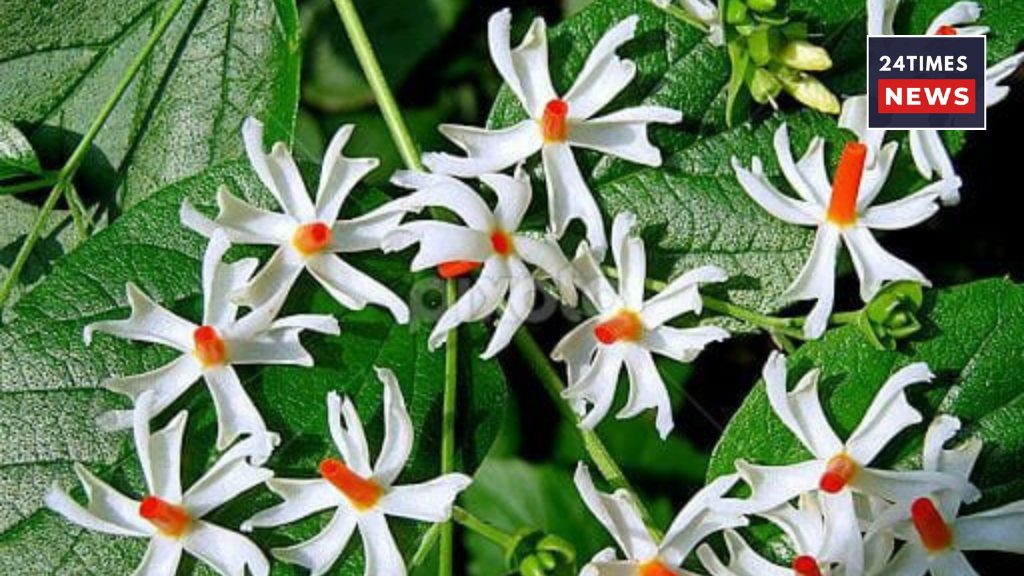 Untitled design 1 13 Untitled design 1 13