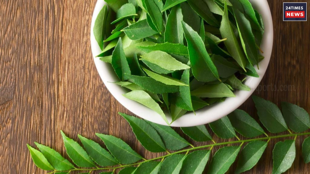 Untitled design 2025 08 18T172043.012