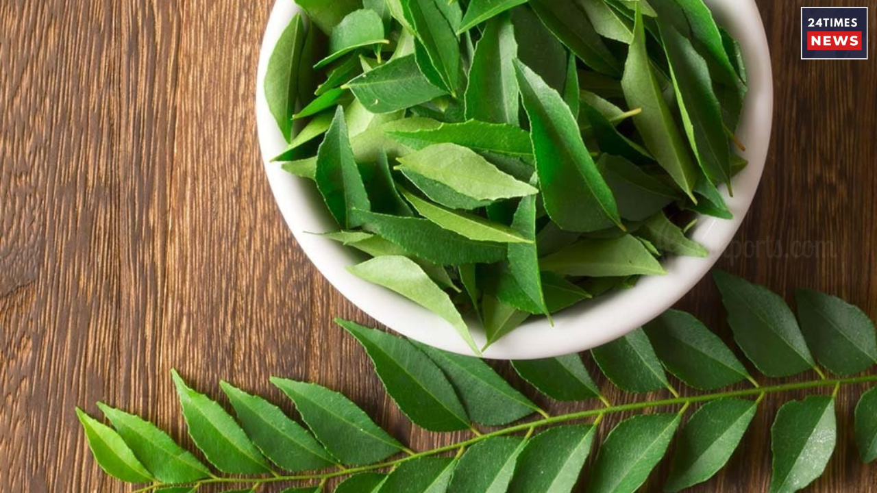 Untitled design 2025 08 18T172043.012