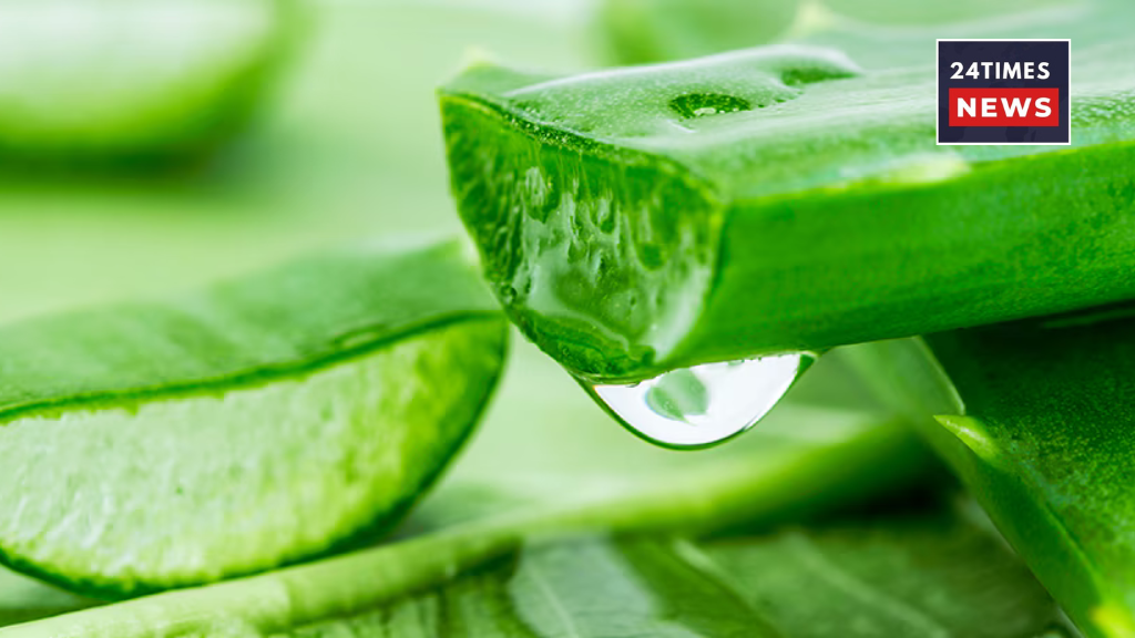 Untitled design 3 8 Untitled design 3 8