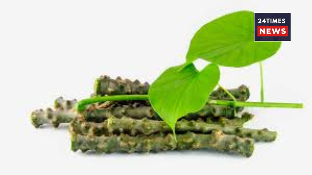 Untitled design 42 Untitled design 42