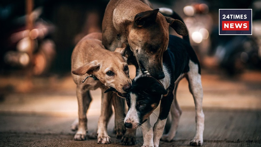 Untitled design 6 3 Untitled design 6 3