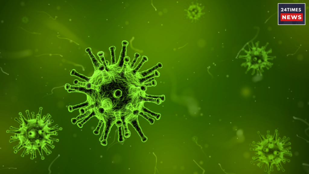 fungal infection fungal infection