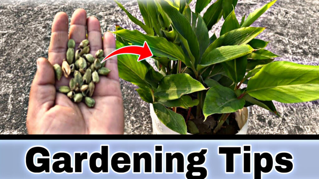 0C0A2BD9 B604 4140 939C E19247762BDB 0C0A2BD9 B604 4140 939C E19247762BDB