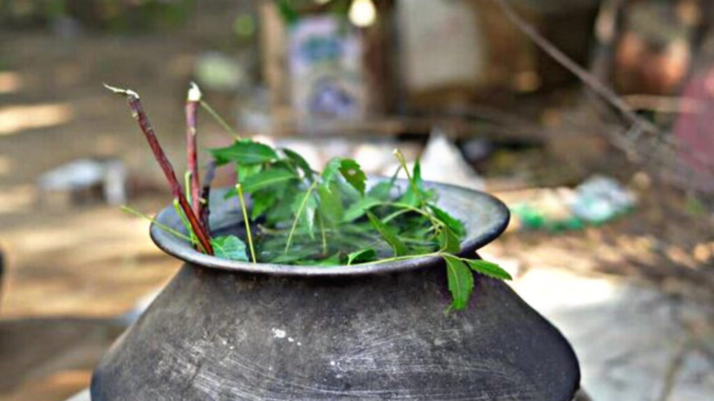 22A98AEF 9743 4B24 92D9 882B7F9CA26C