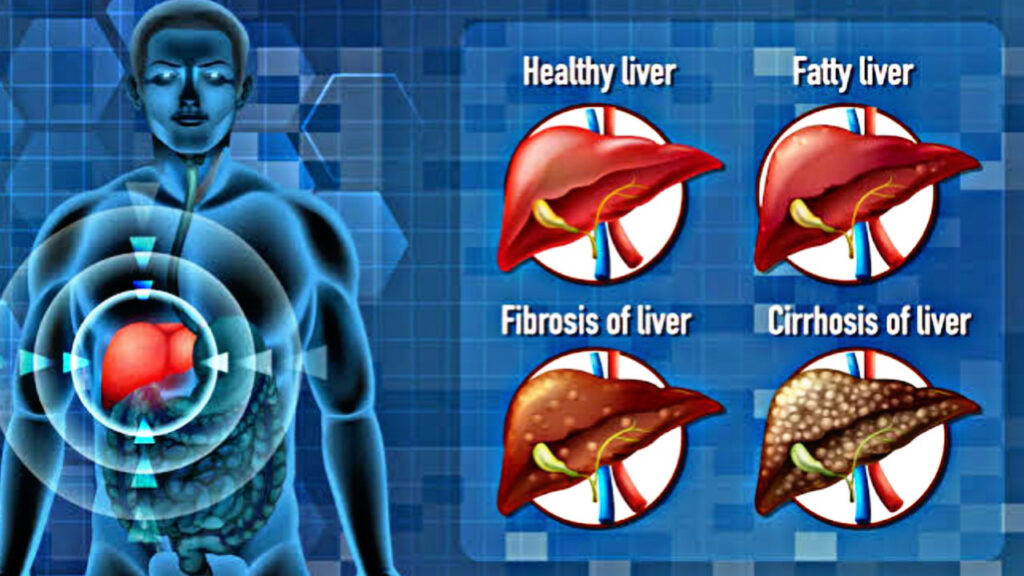3E70190B BA00 4B5D 8D25 8B24D253A6E6 3E70190B BA00 4B5D 8D25 8B24D253A6E6