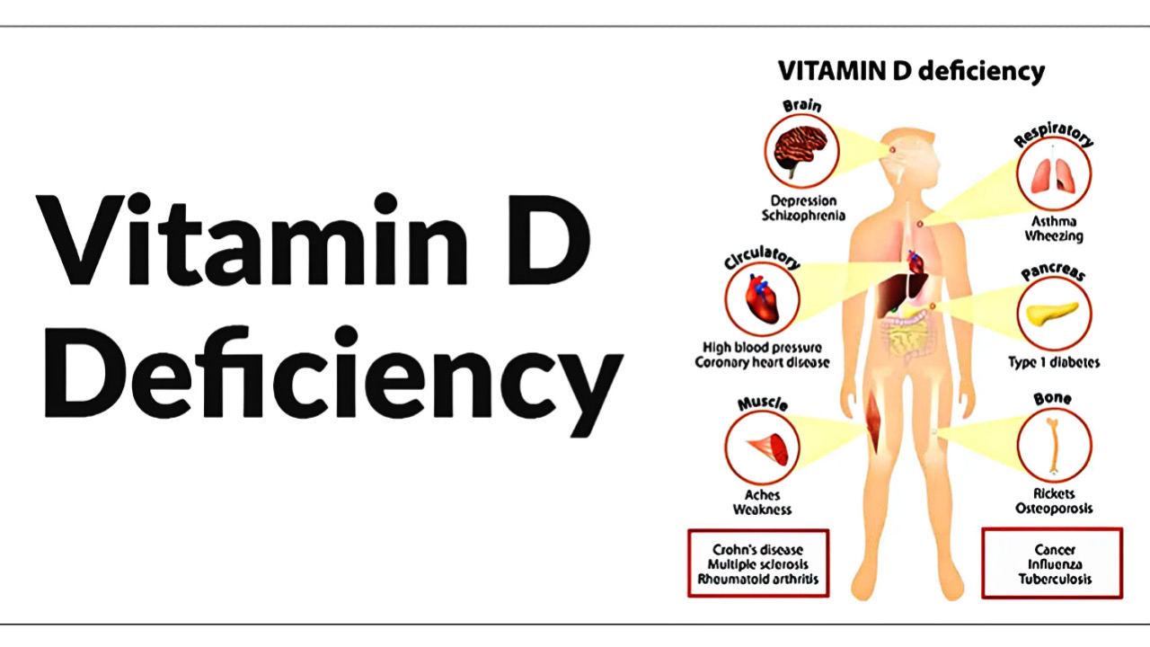 4CE5EE67 967F 4C4B 8863 0D9F619D9C42