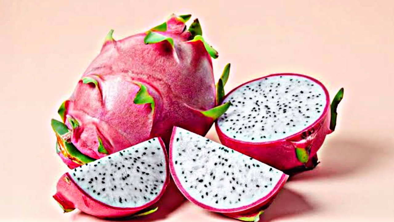 4D4D6952 DB4F 44FF 91AD E20D35F786BB