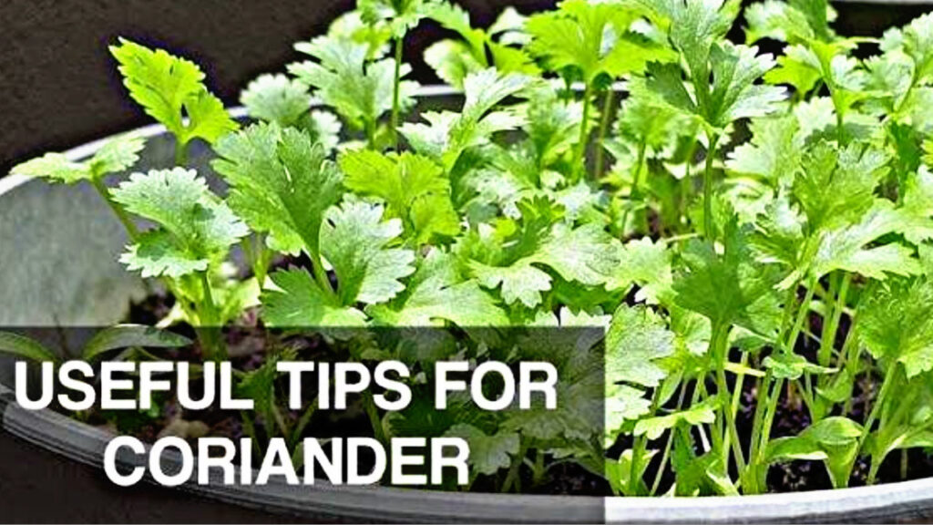 61406488 4EC3 4F6C A78C 3BBD068C40C1