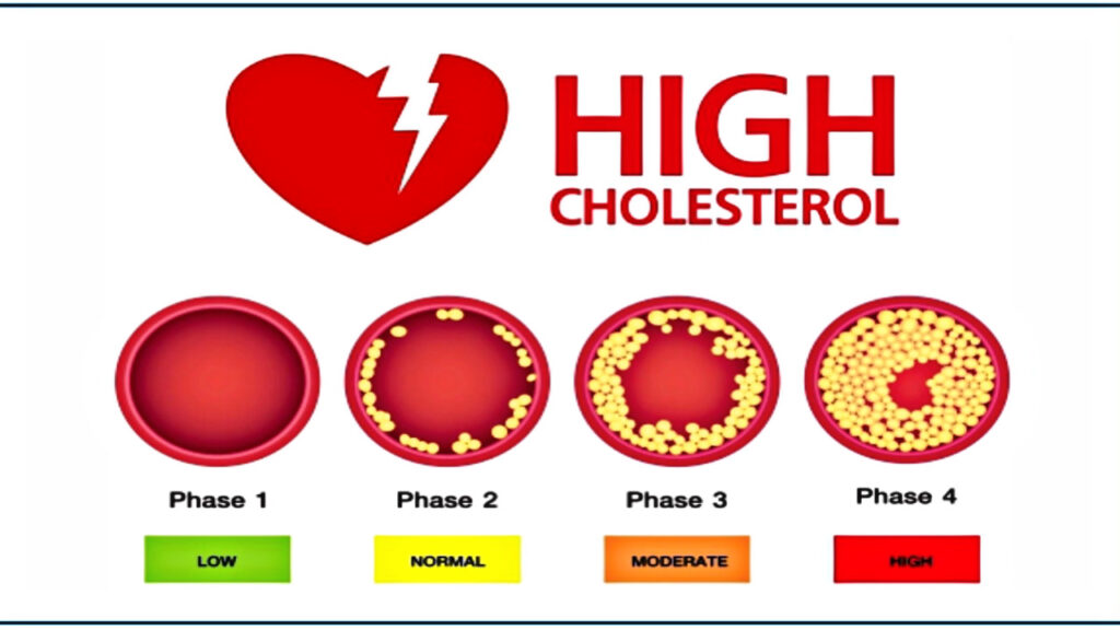 64706C8E DDB3 4BDE 8330 B93983B8A10B 64706C8E DDB3 4BDE 8330 B93983B8A10B