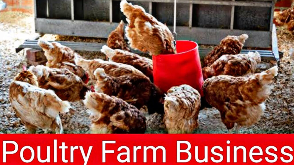 AB046A46 FF7B 4477 B61B 325743798781 AB046A46 FF7B 4477 B61B 325743798781