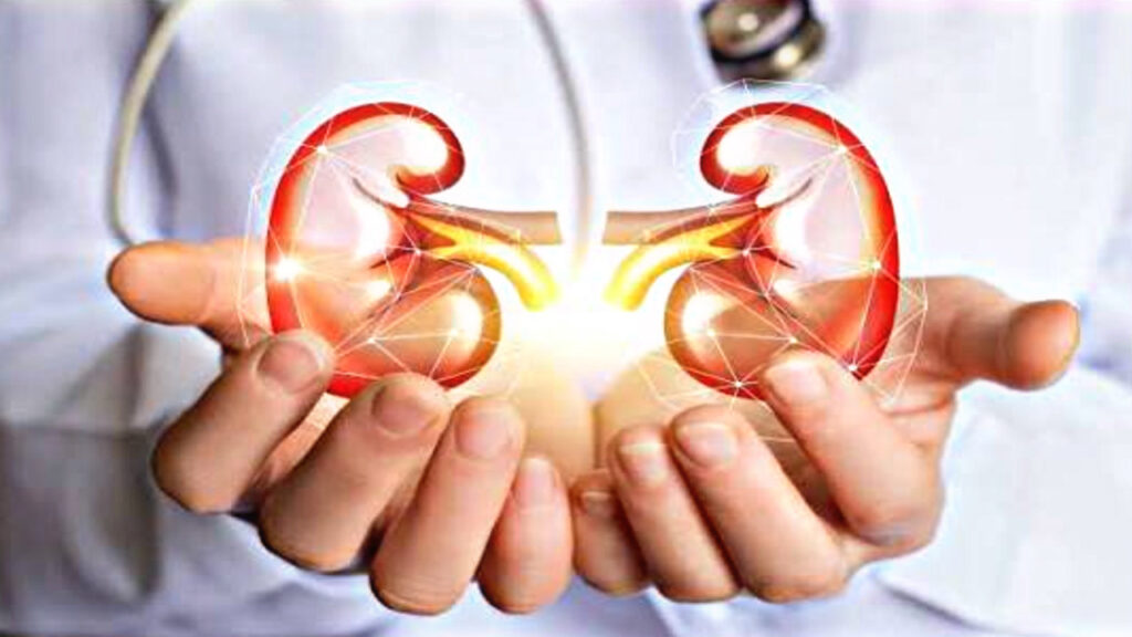 BF408626 D90E 4D58 A878 778F323F921C BF408626 D90E 4D58 A878 778F323F921C