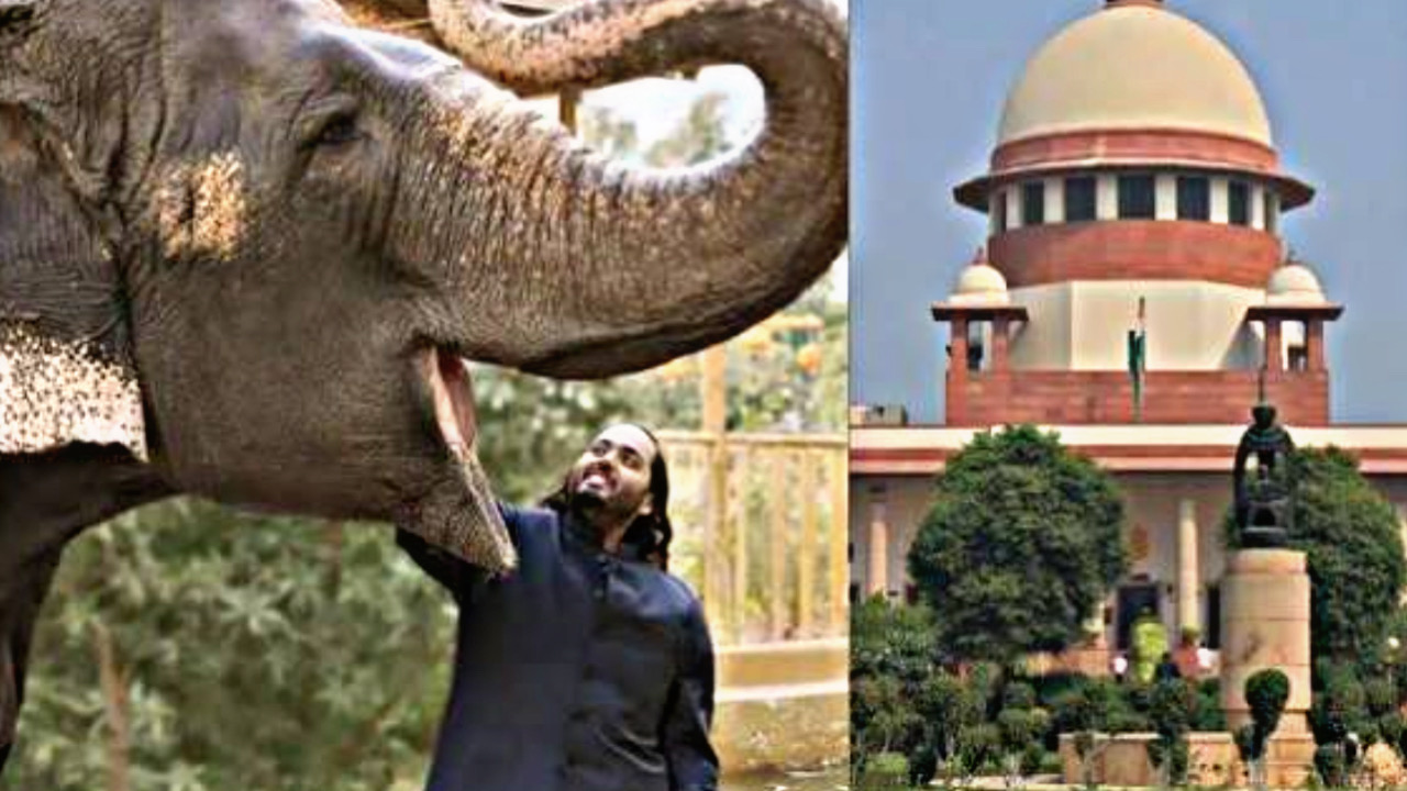 DA315DE4 AE34 4FFC 808F A06E9242E553