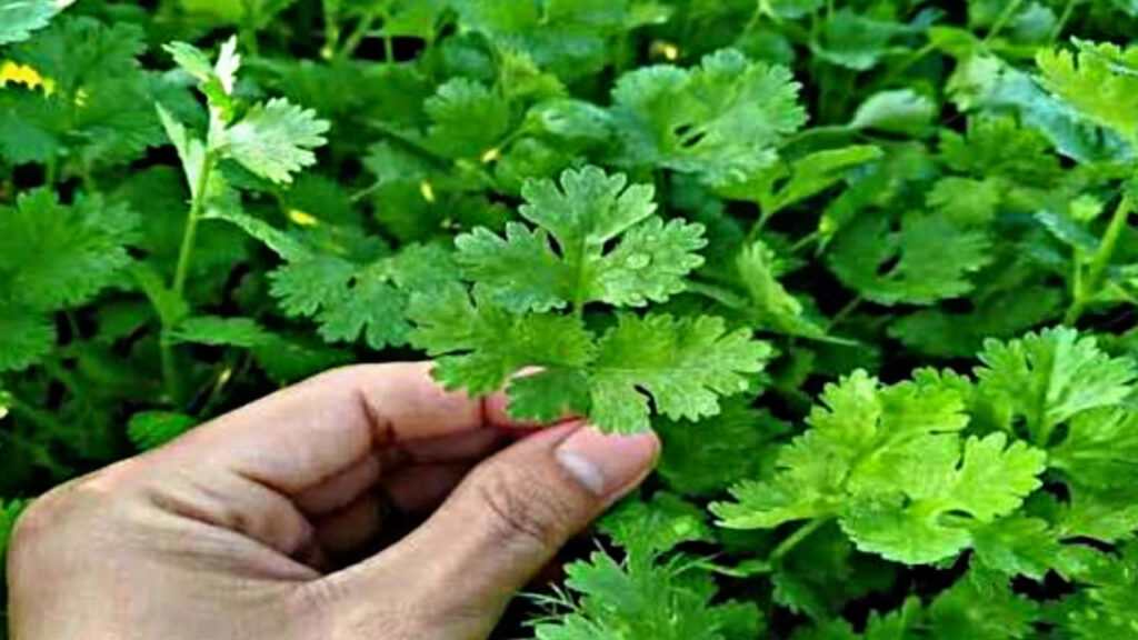 E41DE612 268E 4FA5 BB56 0D54B4630A84 E41DE612 268E 4FA5 BB56 0D54B4630A84