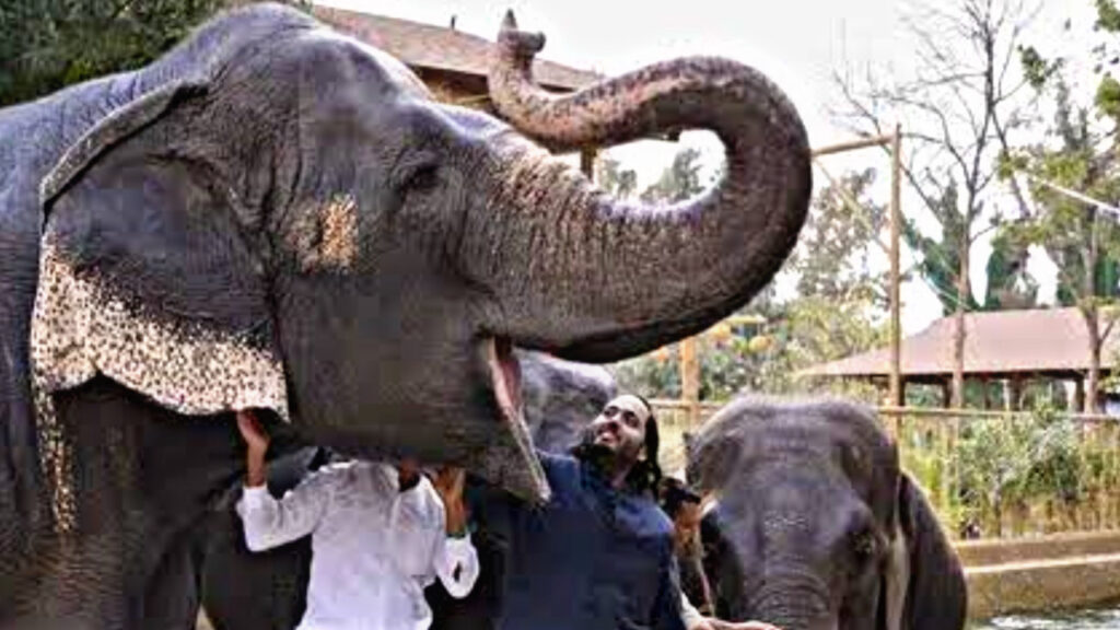 F32FE63A C16D 4EE0 8706 9DE98265B4E4 F32FE63A C16D 4EE0 8706 9DE98265B4E4