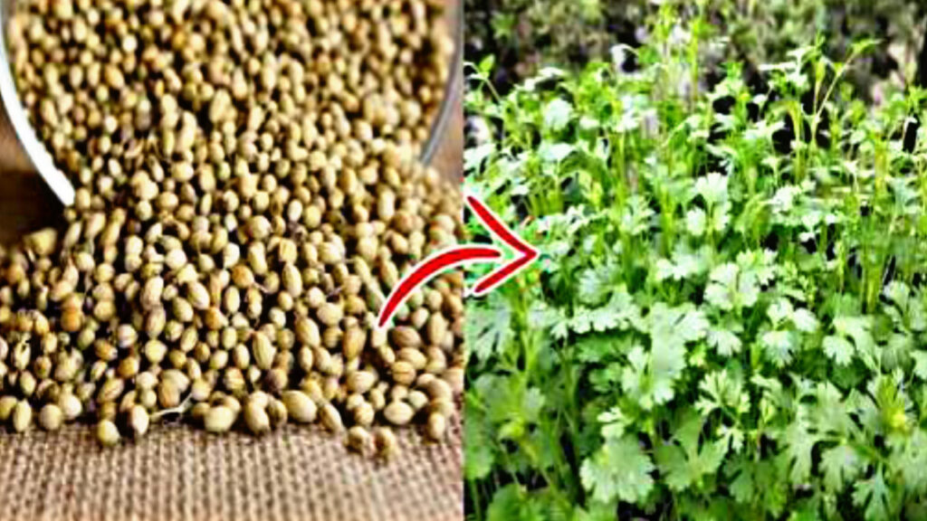 F4942D5A D898 41E3 9286 9D907DE62392 F4942D5A D898 41E3 9286 9D907DE62392