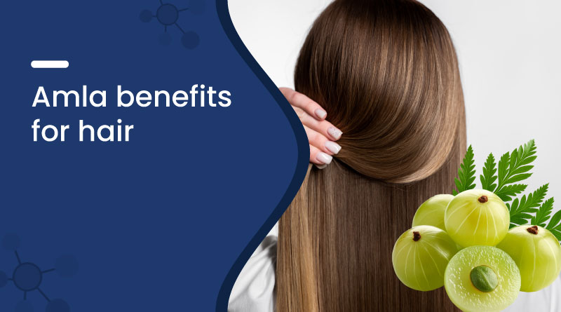 LGFT6854f9f9a98a9 LGFT6854f9f9a98a9