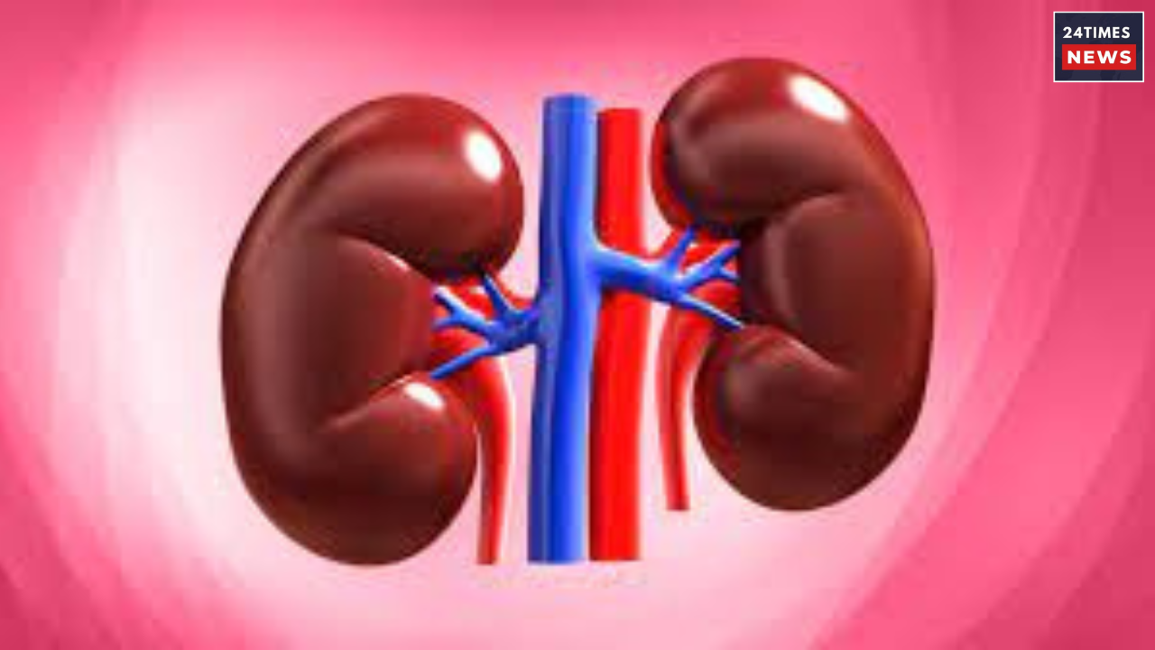 kidney Issues 1 1