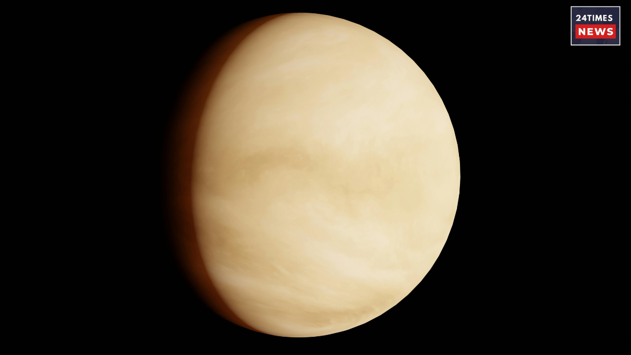 venus in ashelesha