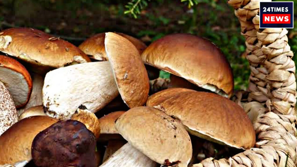 91C4DA44 3748 4B83 B980 169FF462B95F 91C4DA44 3748 4B83 B980 169FF462B95F