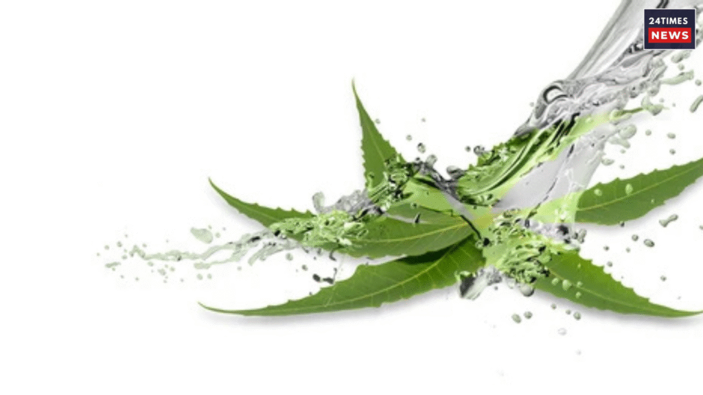 Untitled design 2025 10 05T235122.820 Untitled design 2025 10 05T235122.820