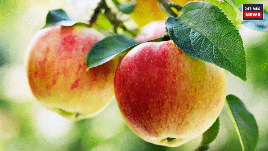 Untitled design 2025 10 31T151809.961 Untitled design 2025 10 31T151809.961