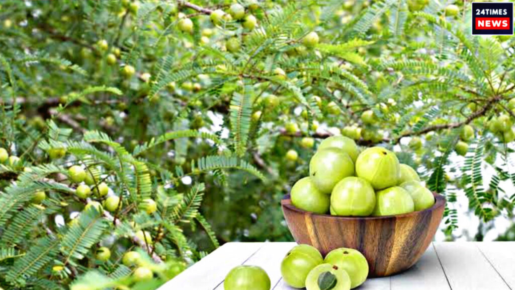 28102E0D BC29 4A38 A2C4 75637C6528A1 28102E0D BC29 4A38 A2C4 75637C6528A1