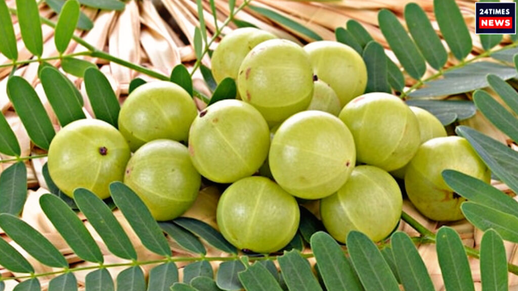 8F4C4E13 714B 4649 B833 031D4ABACD1E 8F4C4E13 714B 4649 B833 031D4ABACD1E