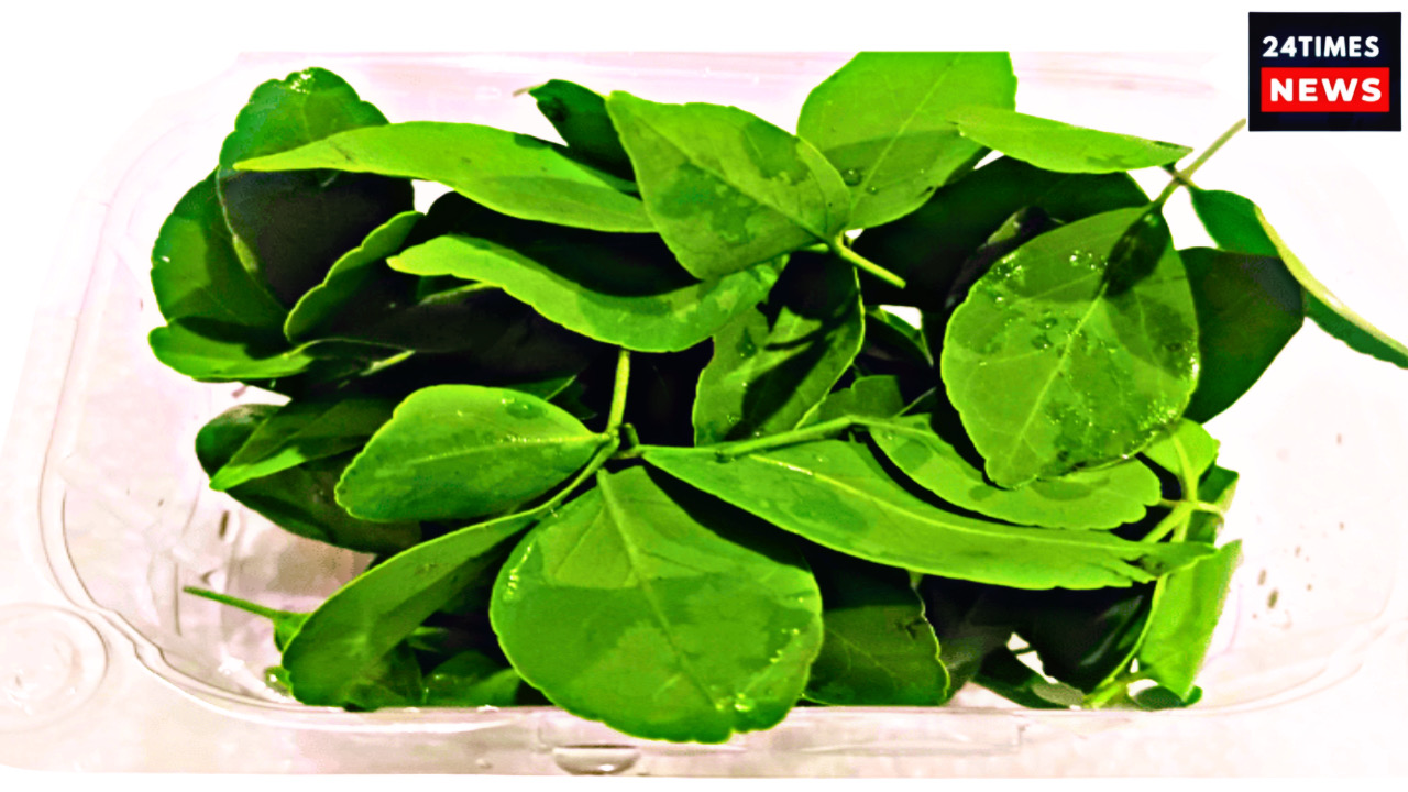 C53605F8 7271 4BF1 A142 651BF193873B