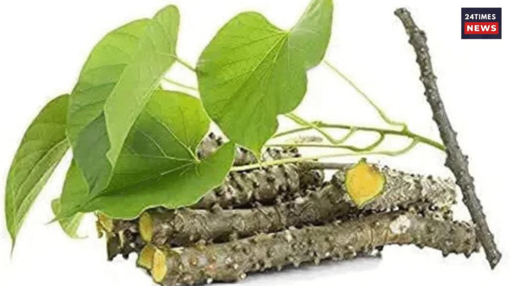 Untitled design 2025 11 03T143132.545 Untitled design 2025 11 03T143132.545