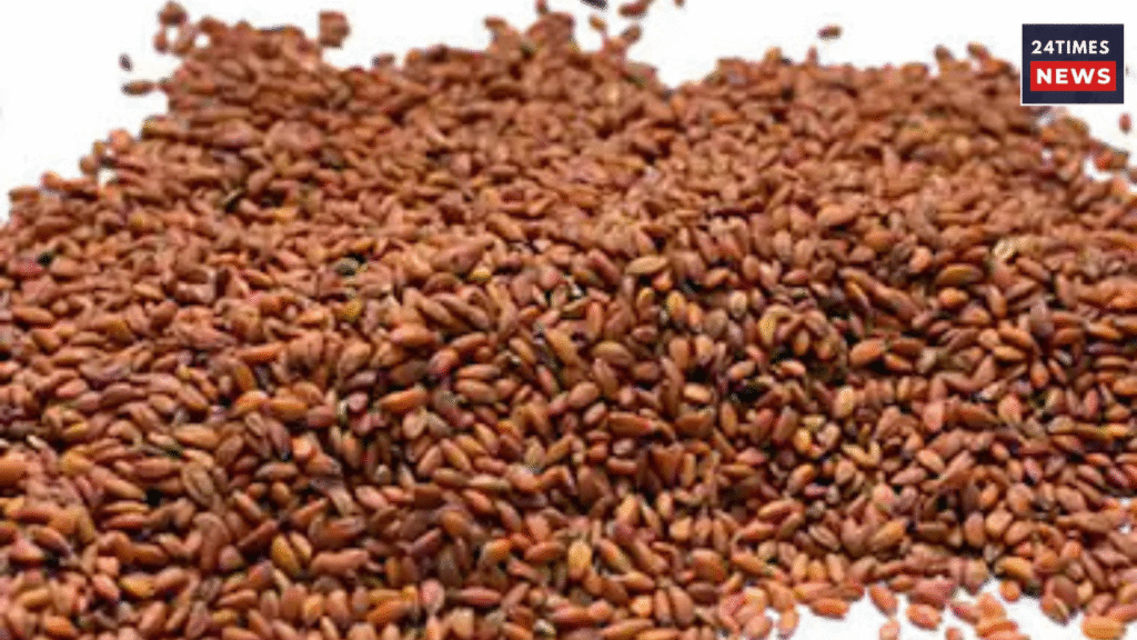 Untitled design 2025 11 17T222041.750