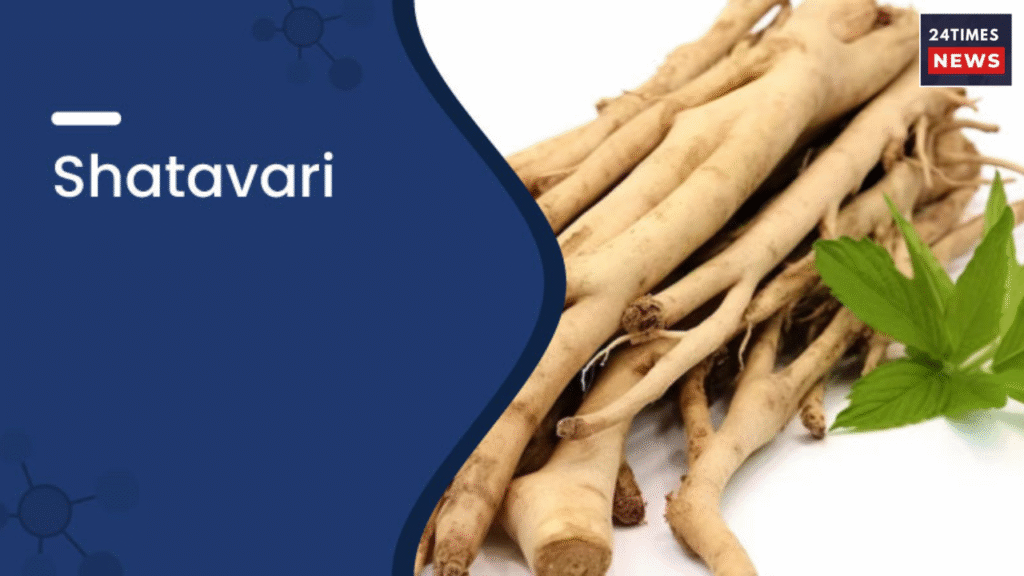 Untitled design 2025 11 25T132230.156