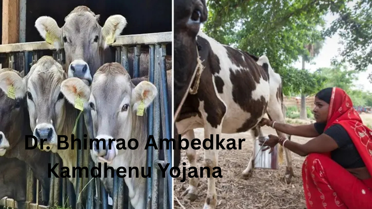 Dr. Bhimrao Ambedkar Kamdhenu Yojana