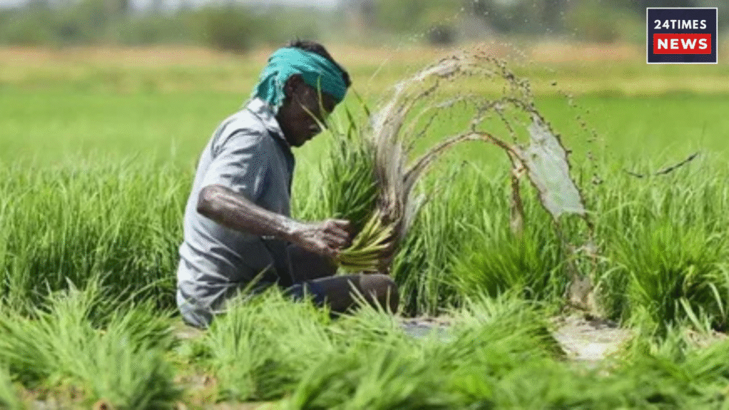 Untitled design 2025 12 02T150225.014 Untitled design 2025 12 02T150225.014