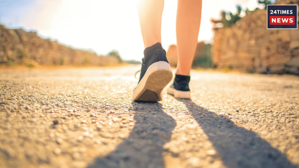 Untitled design 2025 12 13T225224.430 Untitled design 2025 12 13T225224.430