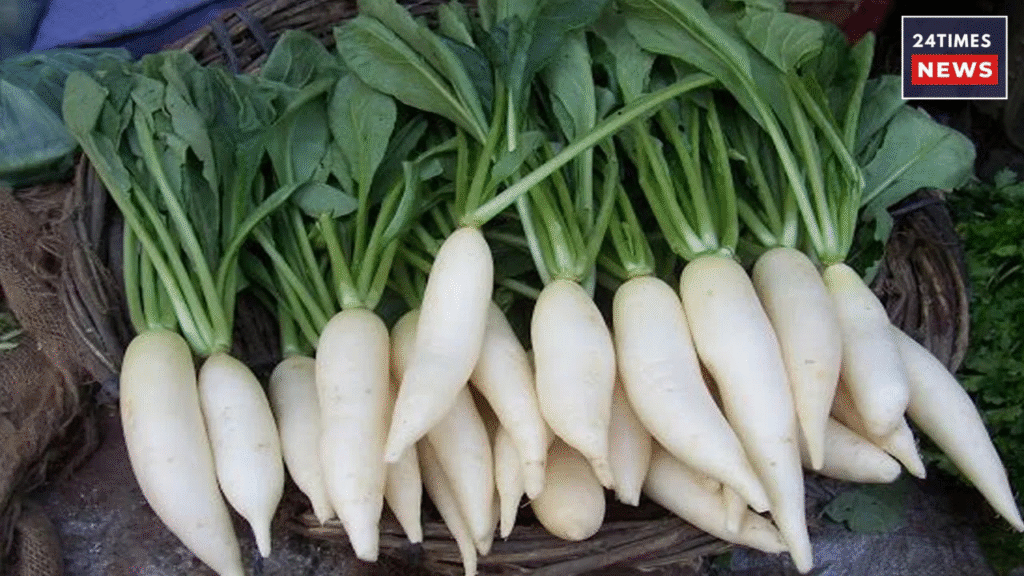 Untitled design 2025 12 16T093147.230 radish leaves