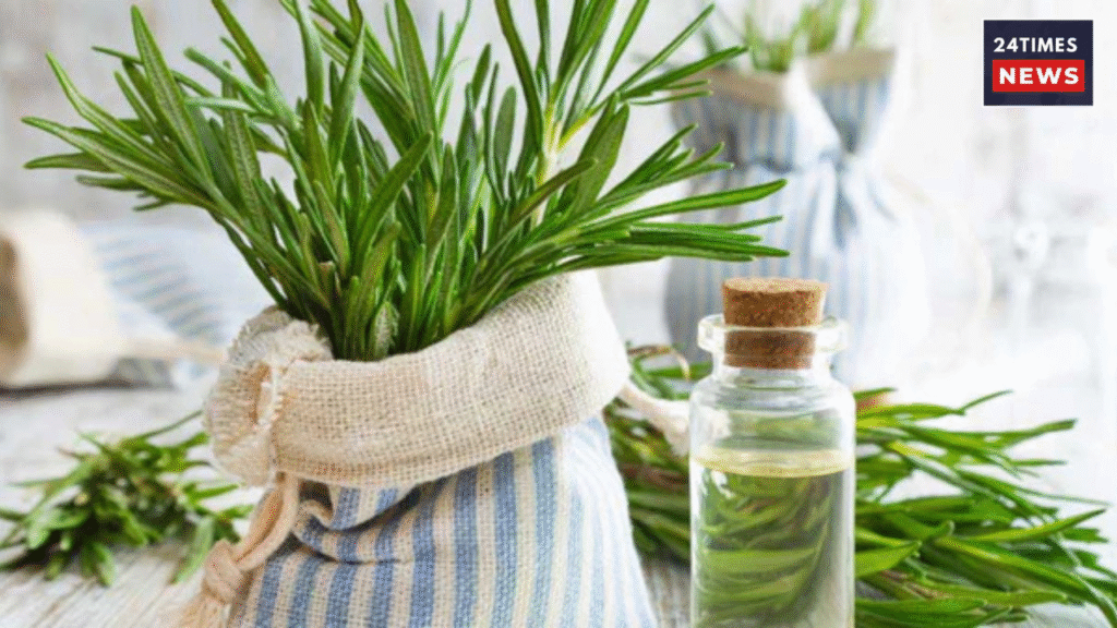 Untitled design 2025 12 19T094317.101