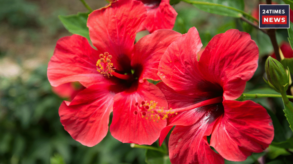 Untitled design 2025 12 20T162654.648 1