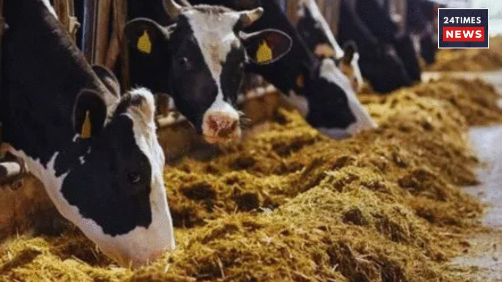 Dr. Bhimrao Ambedkar Kamdhenu Yojana