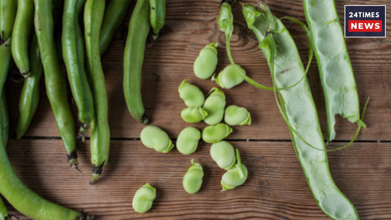 Untitled design 2025 12 23T141802.271