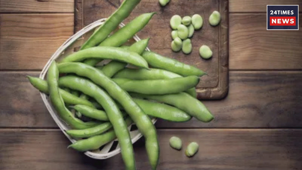 Untitled design 2025 12 23T141853.269 Untitled design 2025 12 23T141853.269